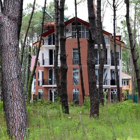 Hotel Gina Shekvetili Zewnętrze zdjęcie