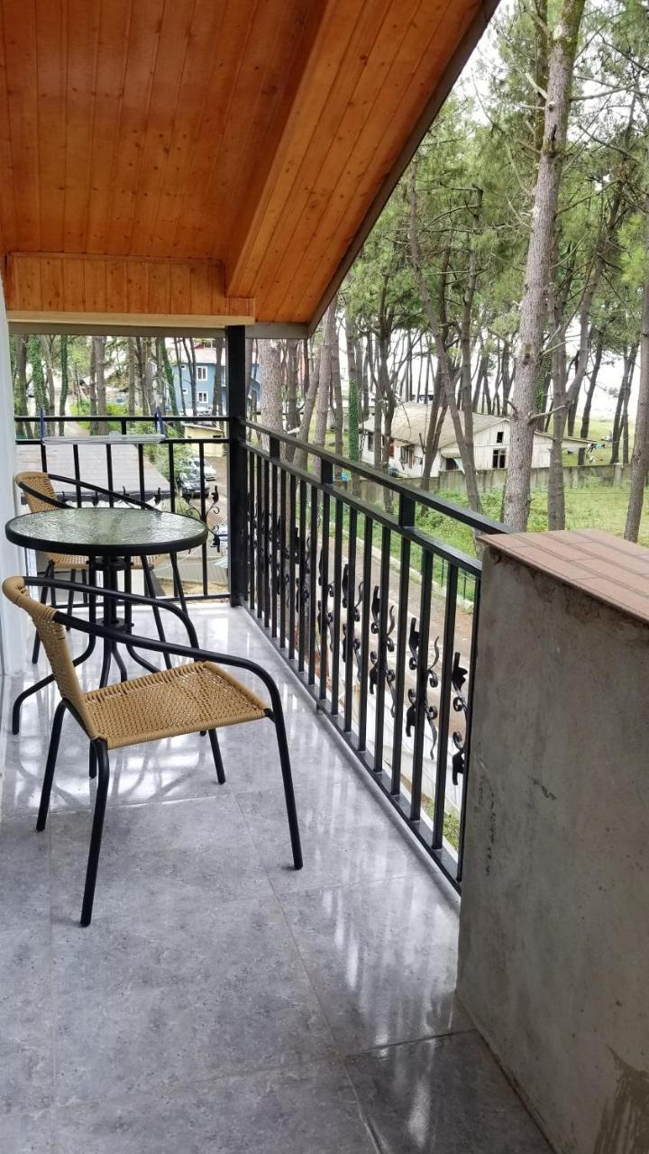 Hotel Gina Shekvetili Zewnętrze zdjęcie